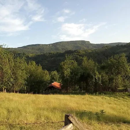 Holiday home Seosko Domacinstvo Radovanovic *