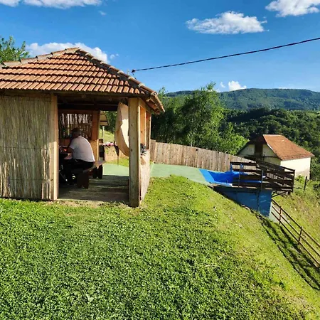 Holiday home Seosko Domacinstvo Radovanovic Bajina Basta