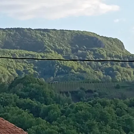 Holiday home Seosko Domacinstvo Radovanovic Bajina Basta